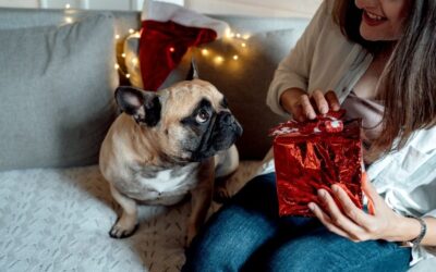 Holiday Pet Gift-Giving Guide